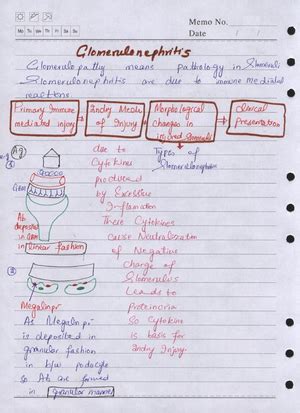 Histo Mcq On Bone General Histology Studocu