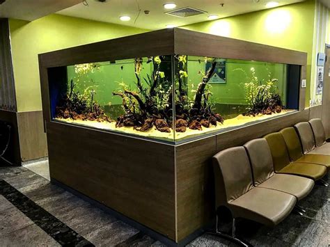 Pin By Ameth Barrera On Aquarium Big Aquarium Aquascape Aquarium