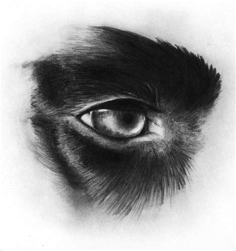 Dog Eyes Sketch at PaintingValley.com | Explore collection of Dog Eyes ...