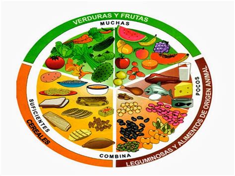 El Plato Del Bien Comer Beneficios Ciclo Escolar