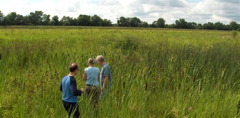 The Wetlands Initiative