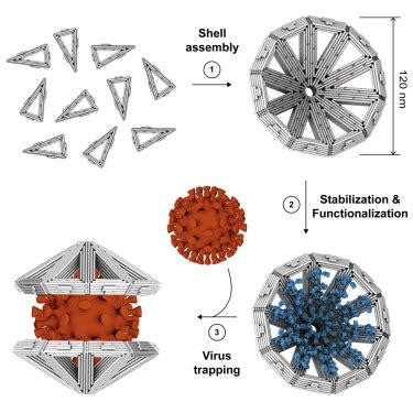 What is DNA origami? - Bioinformatics Hub