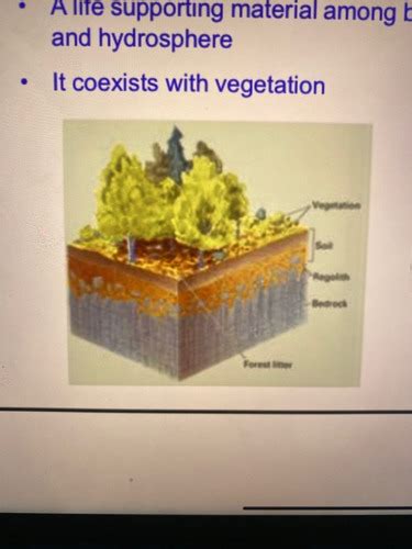 The Geography Of Soils Flashcards Quizlet