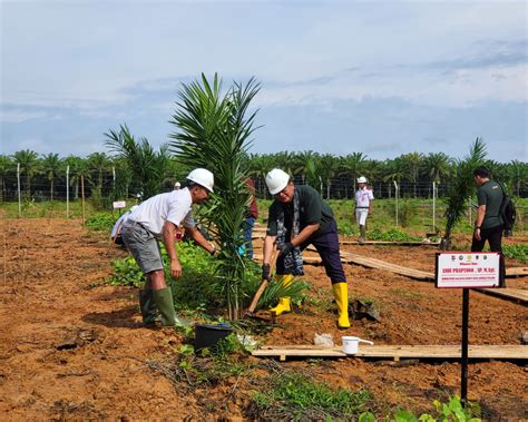 Jaga Ketahanan Pangan Kementan Rangkul Petani Jalankan Program PSR