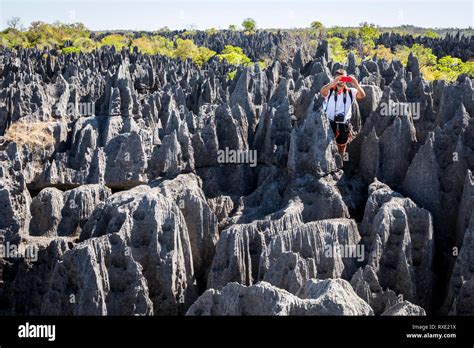 tsingy de bemaraha strict nature reserve