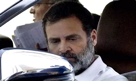 Rahul Gandhi Disqualified As Lok Sabha Mp Congress To Fight This Case