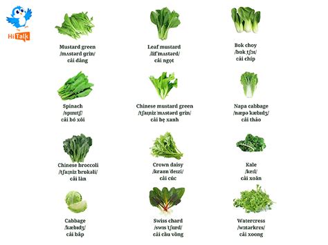 50 TỪ VỰNG TIẾNG ANH CHỦ ĐỀ RAU CỦ QUẢ VEGETABLES VOCABULARY