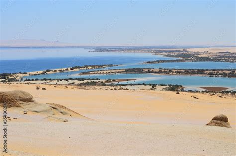 Beautiful surreal oasis in a sandy desert, Fayoum oasis in Sahara ...