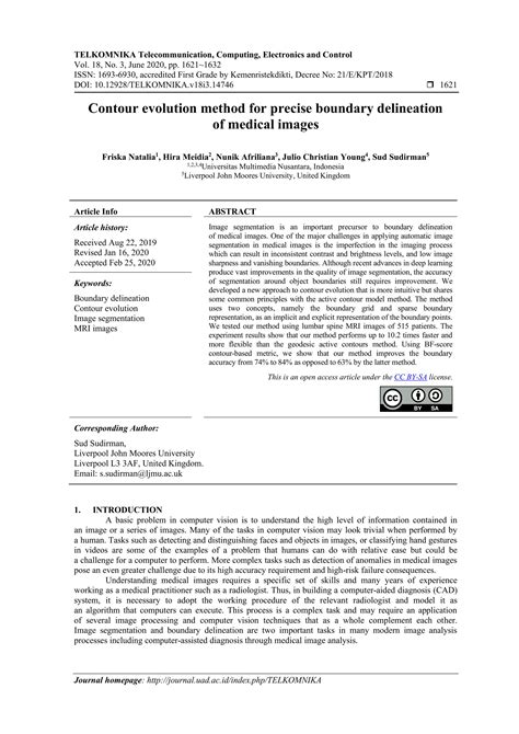 Contour Evolution Method For Precise Boundary Delineation Of Medical