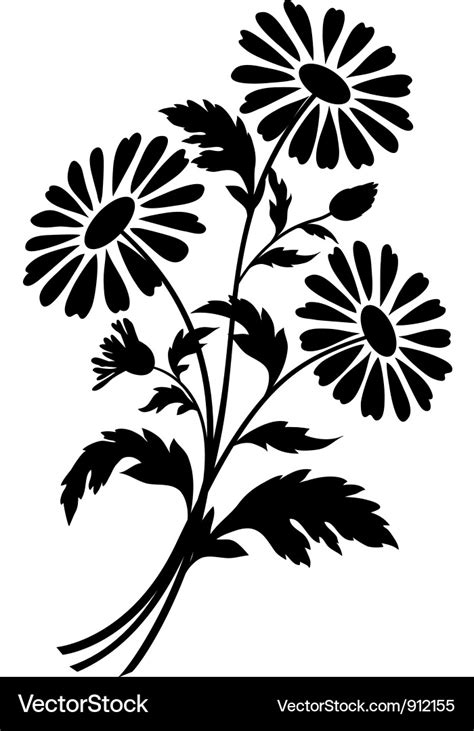 Chamomile flowers silhouettes Royalty Free Vector Image