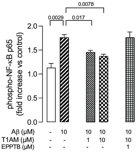 Taar Activation Modulated The Phosphorylation Of Nf Kb Nf Kb P In