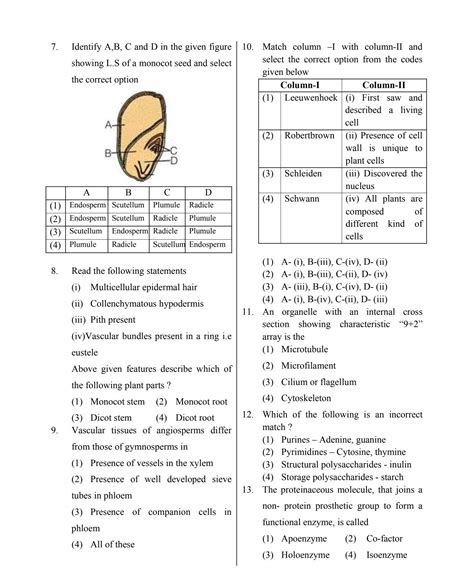 SOLUTION: Test neet ug mock paper 6 - Studypool