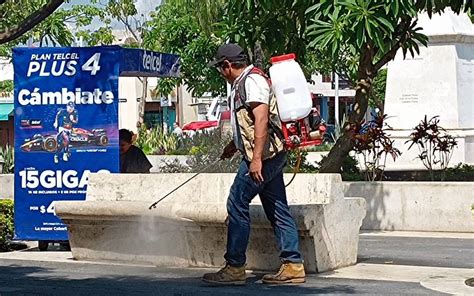 Intensifican Campa As De Fumigaci N Contra Dengue En Cuautla El Sol