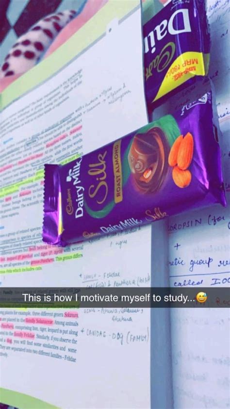 Let S Study Study Snaps Ideas Snap Quotes Funny Snapchat Pictures