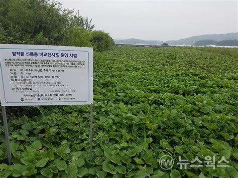 여주시 농업기술보급 시범사업 신청 접수