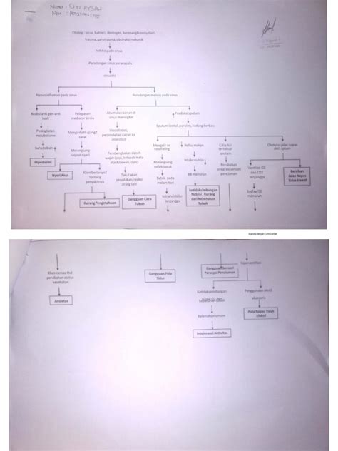 Woc Sinusitis Siti Aysah Pdf