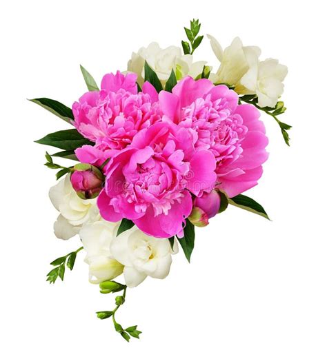 White Freesia Flowers And Pink Peonies In A Beautiful Composition Stock