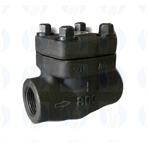 Forged Check Valve Ts Flow Controls Private Limited