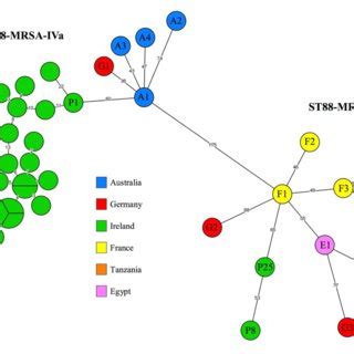 A Minimum Spanning Tree Based On Core Genome Multilocus Sequence