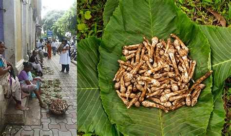 Goan Mushroom Archives Incredible Goa