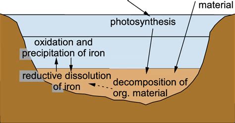 Oxidation Of Ferrous Iron To Ferric Iron And Subsequent Precipitation