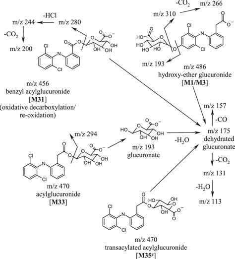 Scheme 4 Fragmentation Cascades Of Acylether Glucuronide Metabolites