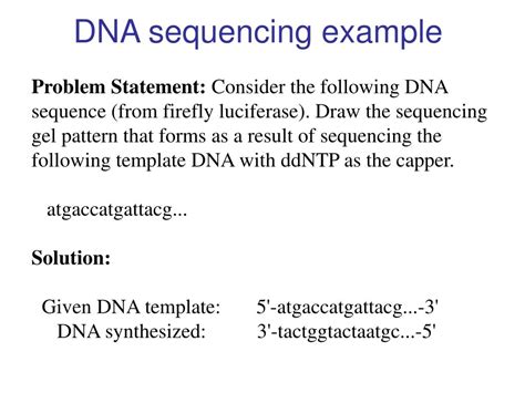 Ppt Dna Sequencing By The Sanger Method Powerpoint Presentation Id