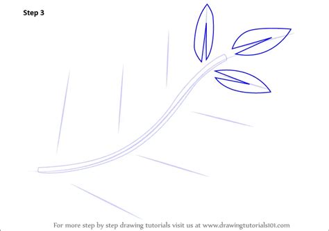 How To Draw Fern Leaves Plants Step By Step