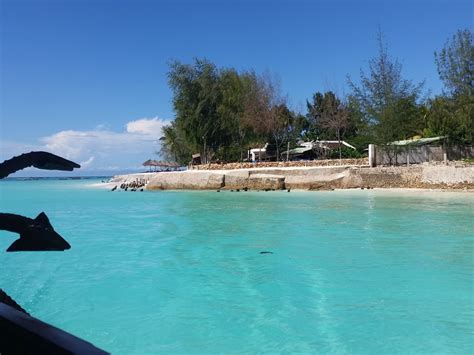 Schnorcheln In Den Gro En Riffen Vor Mnemba Island Nordkap Nach