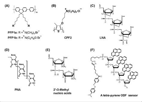 Chemical Structures Of A Polyfluorene Derivatives B Polythiophene