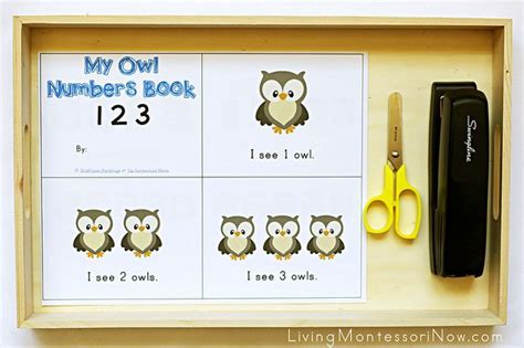 Free Owl Printables And Montessori Inspired Owl Activities Owl