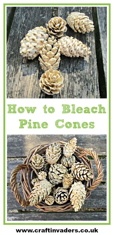 How To Easily Bleach Pine Cones At Home Craft Invaders Pine Cones