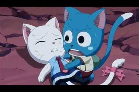 Happy And Carla Fairy Tail Happy Fairy Tail Anime Fairy Tail Ships