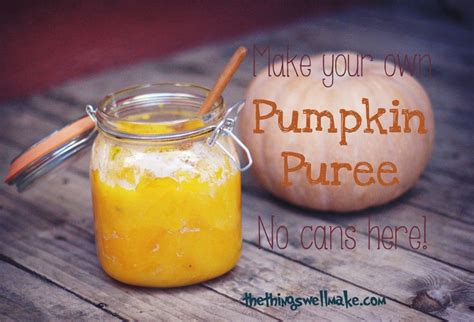 The Basics Make Your Own Canned Pumpkin Substitute The Pumpkin Puree