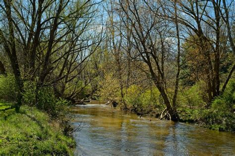 Flowing Creek In Early Spring Stock Image Image Of Landscape Spring