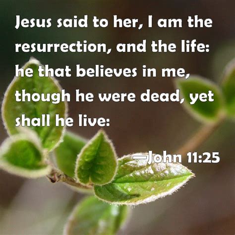 John 11 25 Jesus Said To Her I Am The Resurrection And The Life He