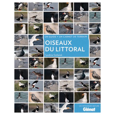 Oiseaux Du Littoral Sandrine Stefaniak Gl Nat