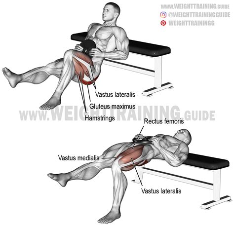 Weighted One Leg Hip Thrust Exercise Instructions And Video