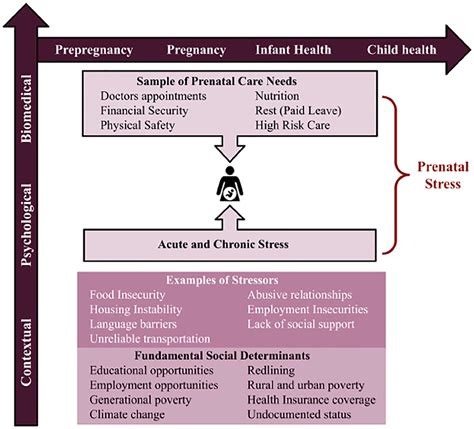 What Is Prenatal Stress A Scoping Review Of How Prenatal Stress Is