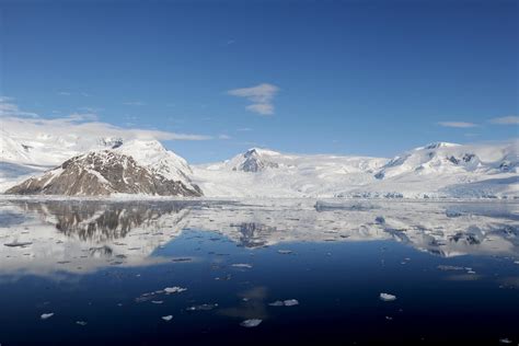 Beyond The Antarctic Circle Wilkins Ice Shelf Expeditions Online