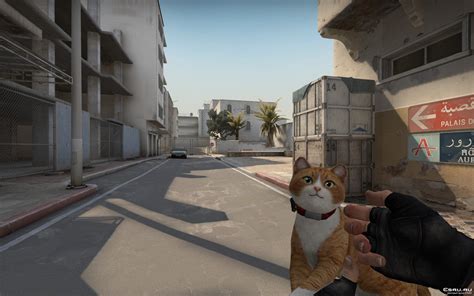 Модель оружия Кот автомат Cat Gun для Csgo Статьи по Csgo