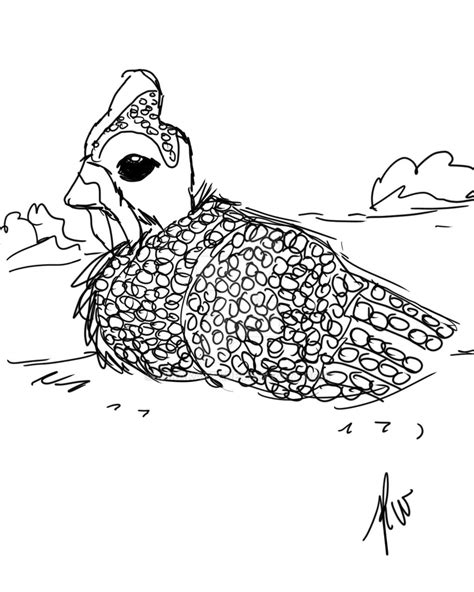 Guinea Fowl By Mirakat17 On Deviantart