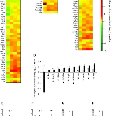 Relative Gene Expression Levels Of Inflammatory Response Related Genes