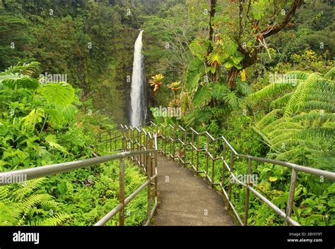 Scenic Landscape With Boardwalk And Stairs To Waterfall Inside The