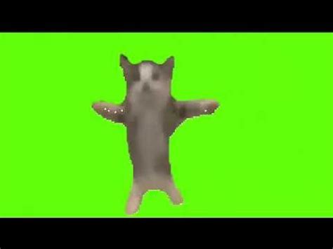 Котик танцует футаж*||| - YouTube