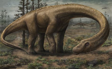 New "Dreadnoughtus" Dinosaur Was One of World's Largest | Discover Magazine