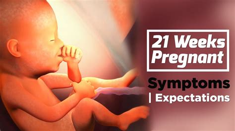 21 Weeks Pregnant Baby Development Health Care Tips For Pregnant