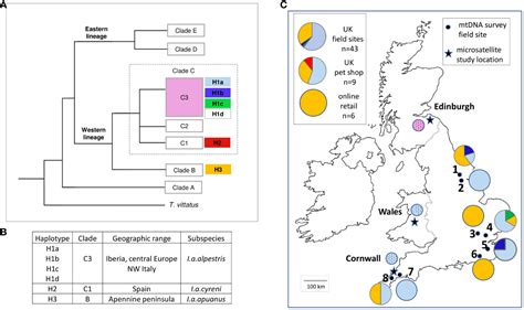 Frontiers Multiple Introductions And Human Aided Dispersal Of The Uk