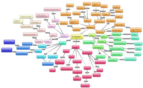 Evolution Is Evolution Concept Map Concept Map Biology Notes The Best