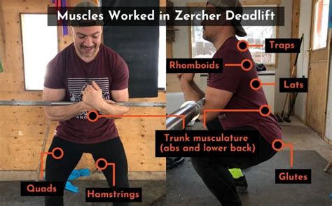 Zercher Deadlift: What Is It? How-To, Benefits, Drawbacks ...